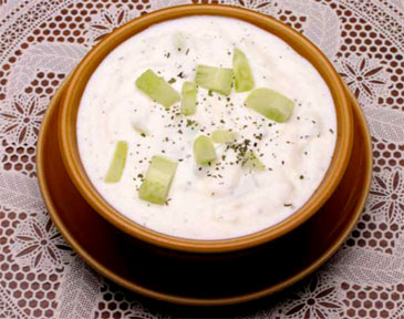 Iranian Yogurt