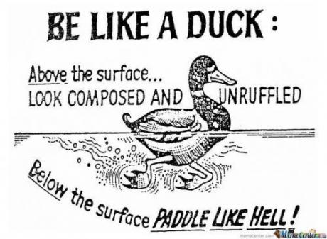 Be Like A Duck !