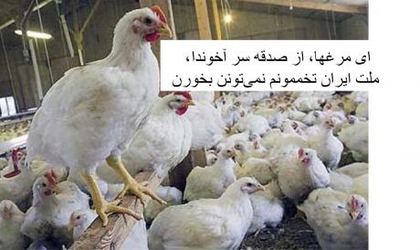 اجتماع اخیر‌ مرغها در ایران در رابطه با ایرانیان و کمبود مرغ