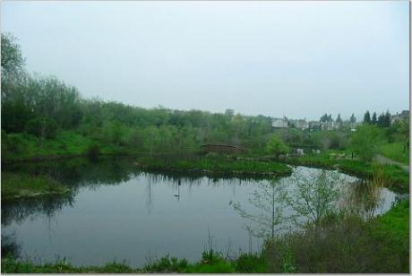 A pond for her pennies