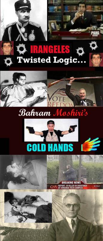 MOSHIRI's COLD HAND's: Bahram Moshiri Slams Pahlavi Era Gun Ban Policies