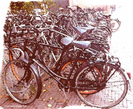Picture of the day - Amsterdam bikes