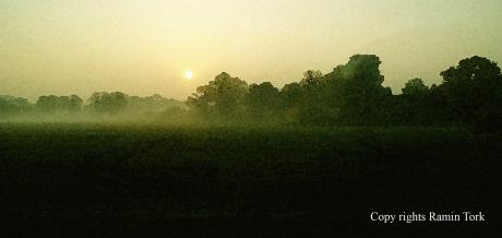 Picture of the day - Dawn breaking on East Anglia 