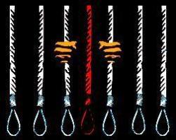 اعدام زنان کرد و سانسور تن/صبا واصفی 