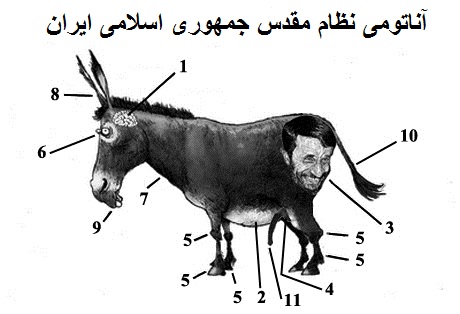 The Anatomy of the Islamic Republic of Iran