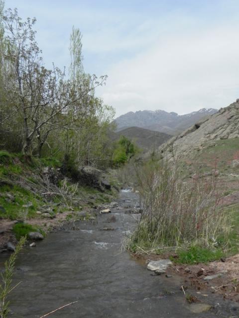 abiran029