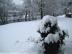 bild020