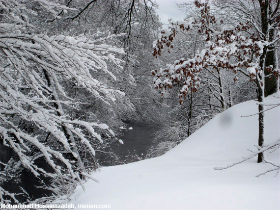 bild023