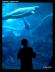 blues005
