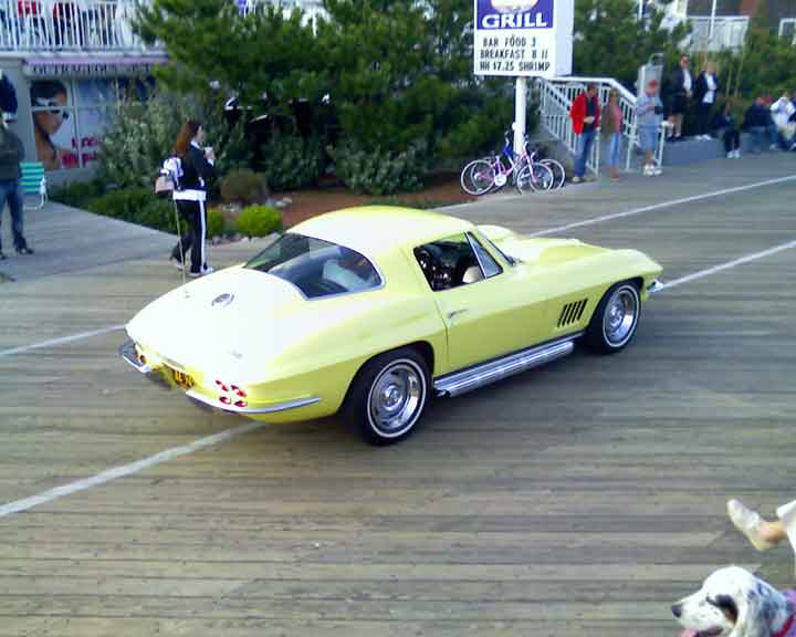 corva008f