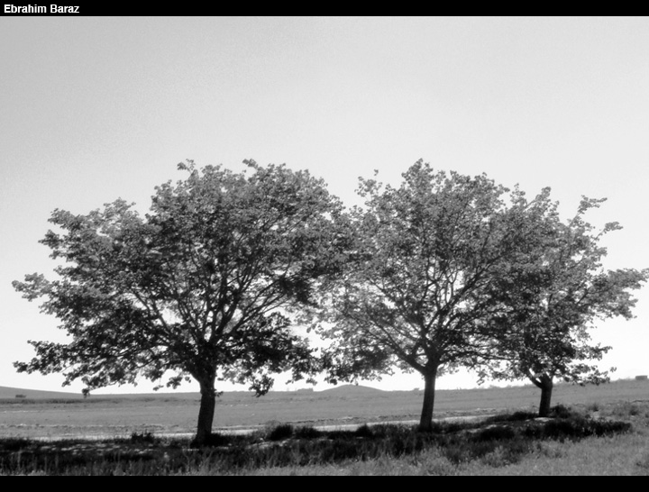 ebaraz033