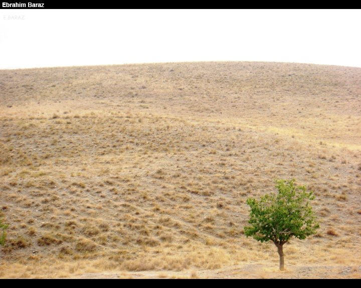 ebaraz045