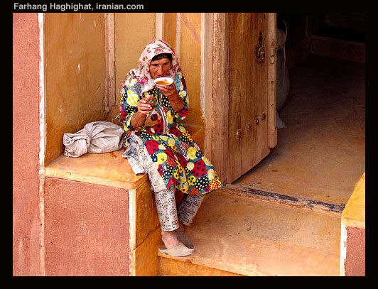 farhangh041