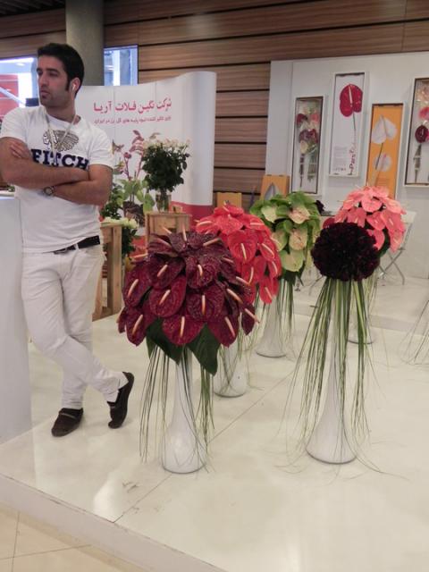 flowt019