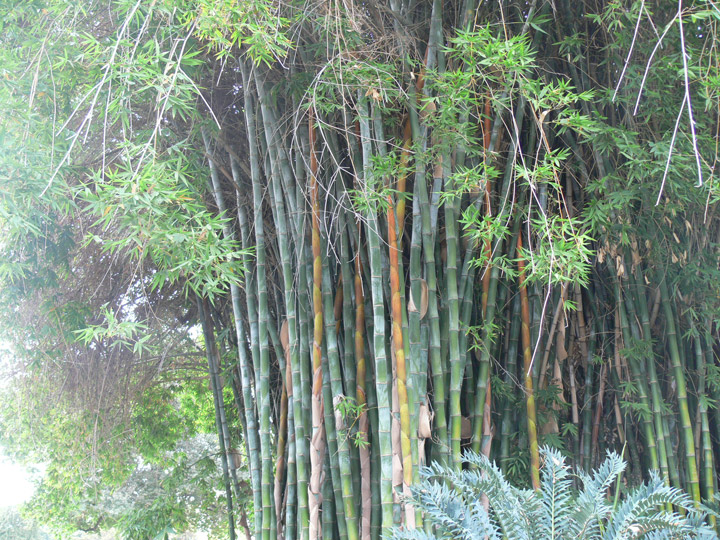 hunlib004