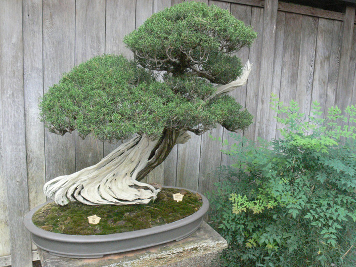 hunlib086