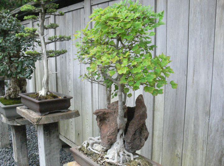 hunlib087