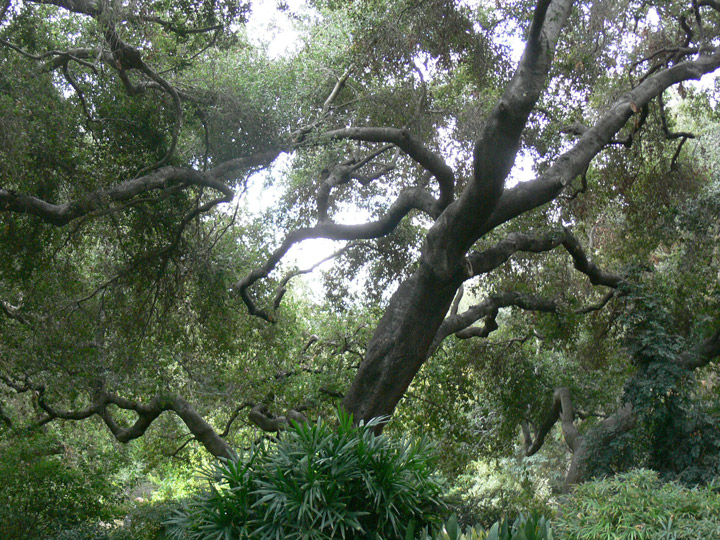 hunlib090
