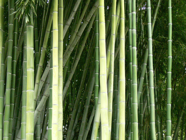 hunlib092