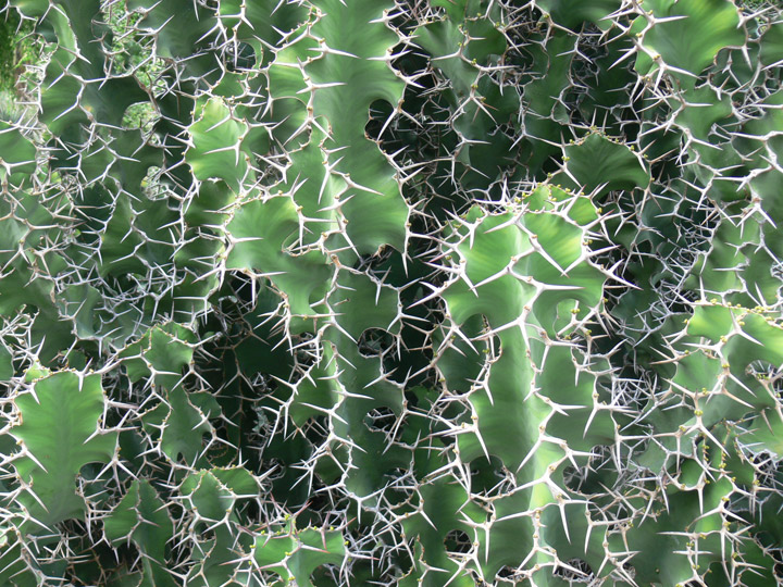 hunlib129