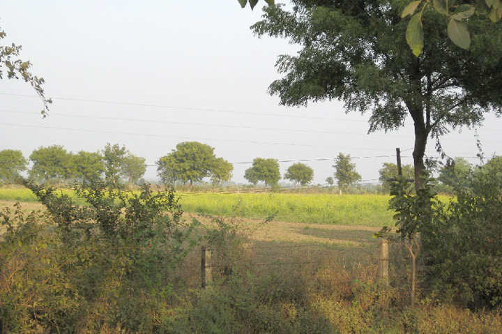 ktindi008