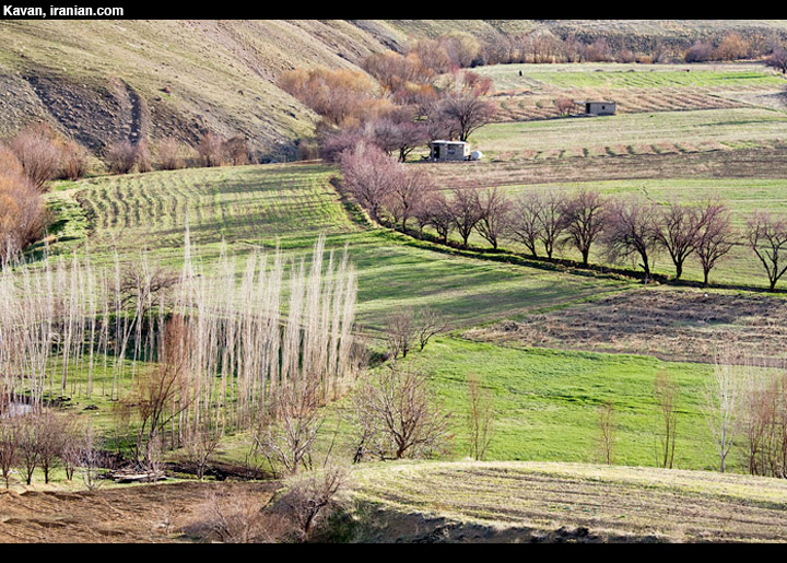 kvkurd024
