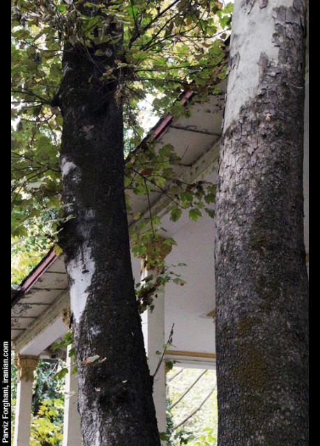 loteh009