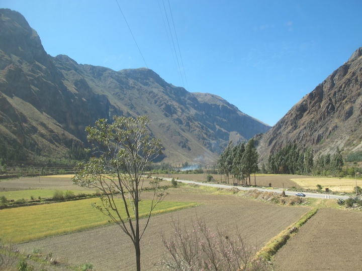 mapi008