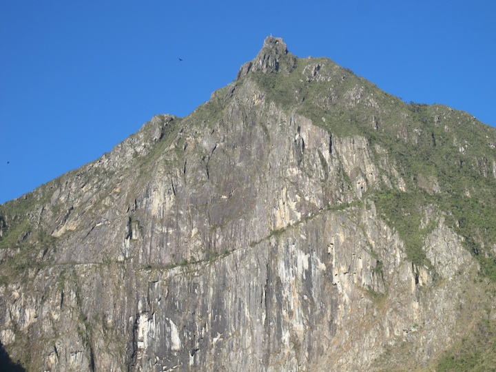 mapi016