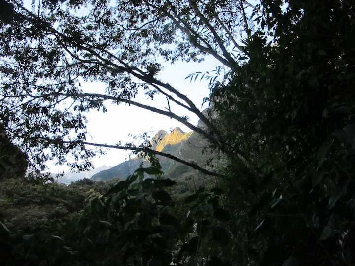 mapi022