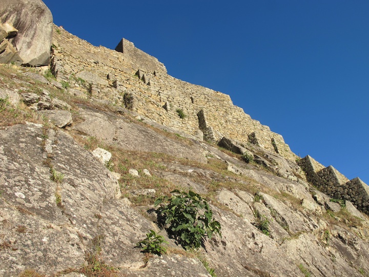 mapi066