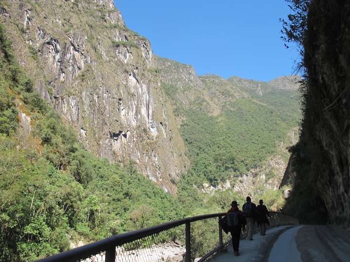mapi137