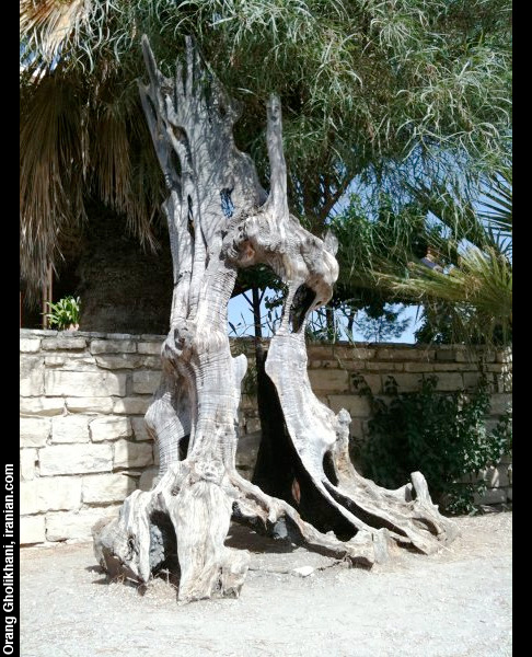 ogcrete067