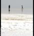 orlk017