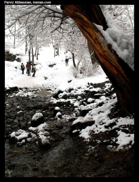 snoww008