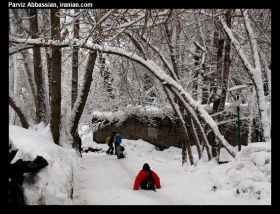 snoww014