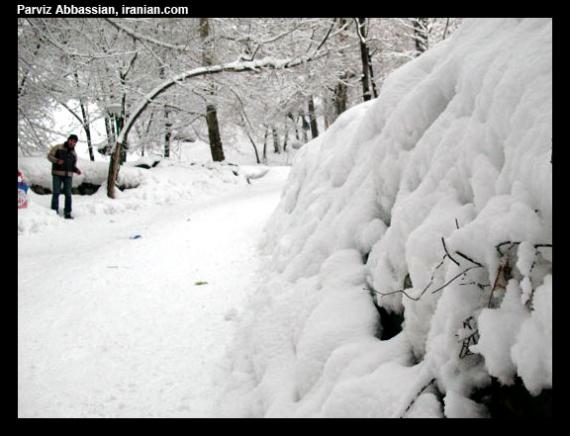 snoww015