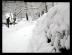 snoww015