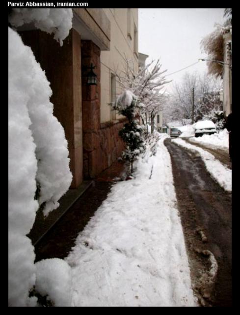 snoww017