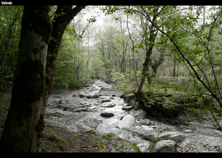vahabc004