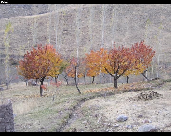 vahabc033