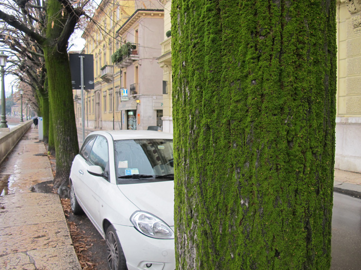 verona085