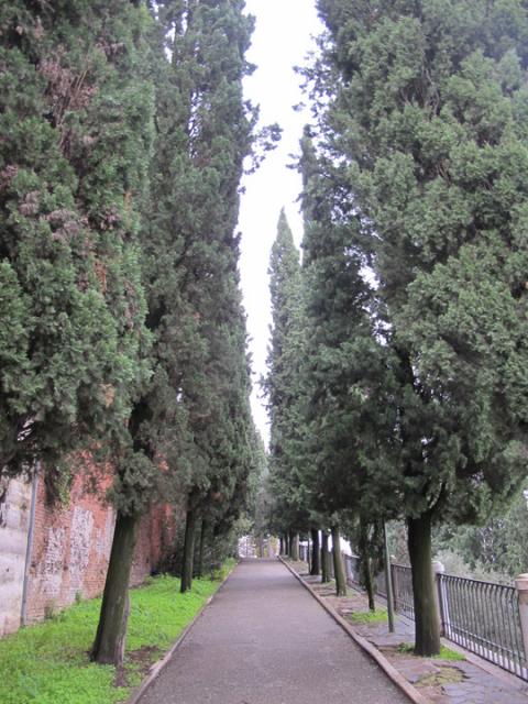 verona094