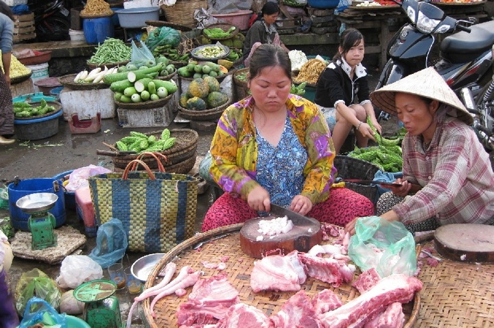 vietkt037a