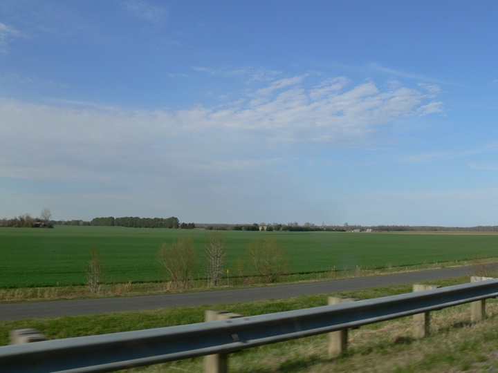 voav081