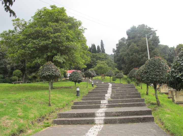 zapaq030
