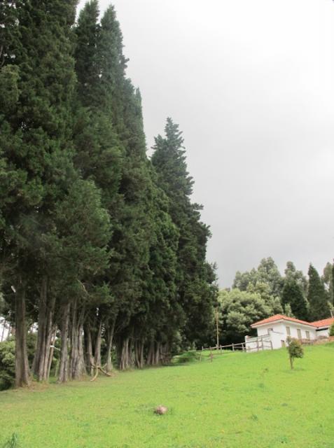 zapaq031