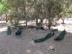 zoochi023