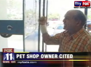 pet.jpg