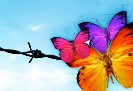 The Butterfly Revolution